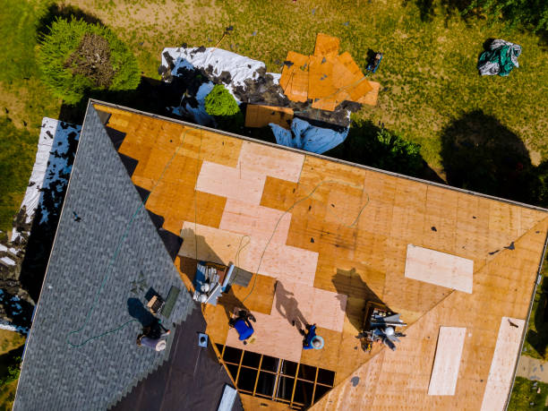 Best Roof Gutter Cleaning  in Brandywine Bay, NC